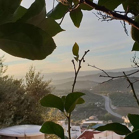 Mirador Del Olivar أولفيرا المظهر الخارجي الصورة