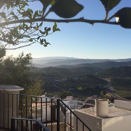 Mirador Del Olivar أولفيرا المظهر الخارجي الصورة