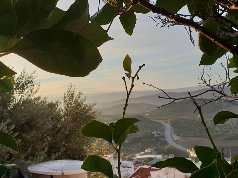 Mirador Del Olivar أولفيرا المظهر الخارجي الصورة