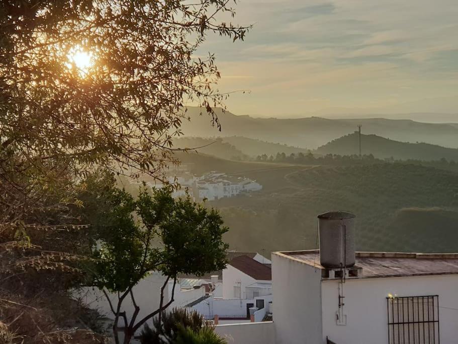 Mirador Del Olivar أولفيرا المظهر الخارجي الصورة